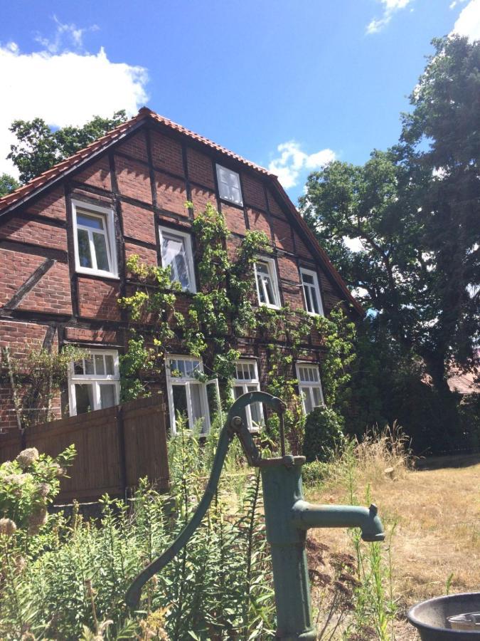 Wendlandhof Lueggau Villa Dannenberg Kültér fotó